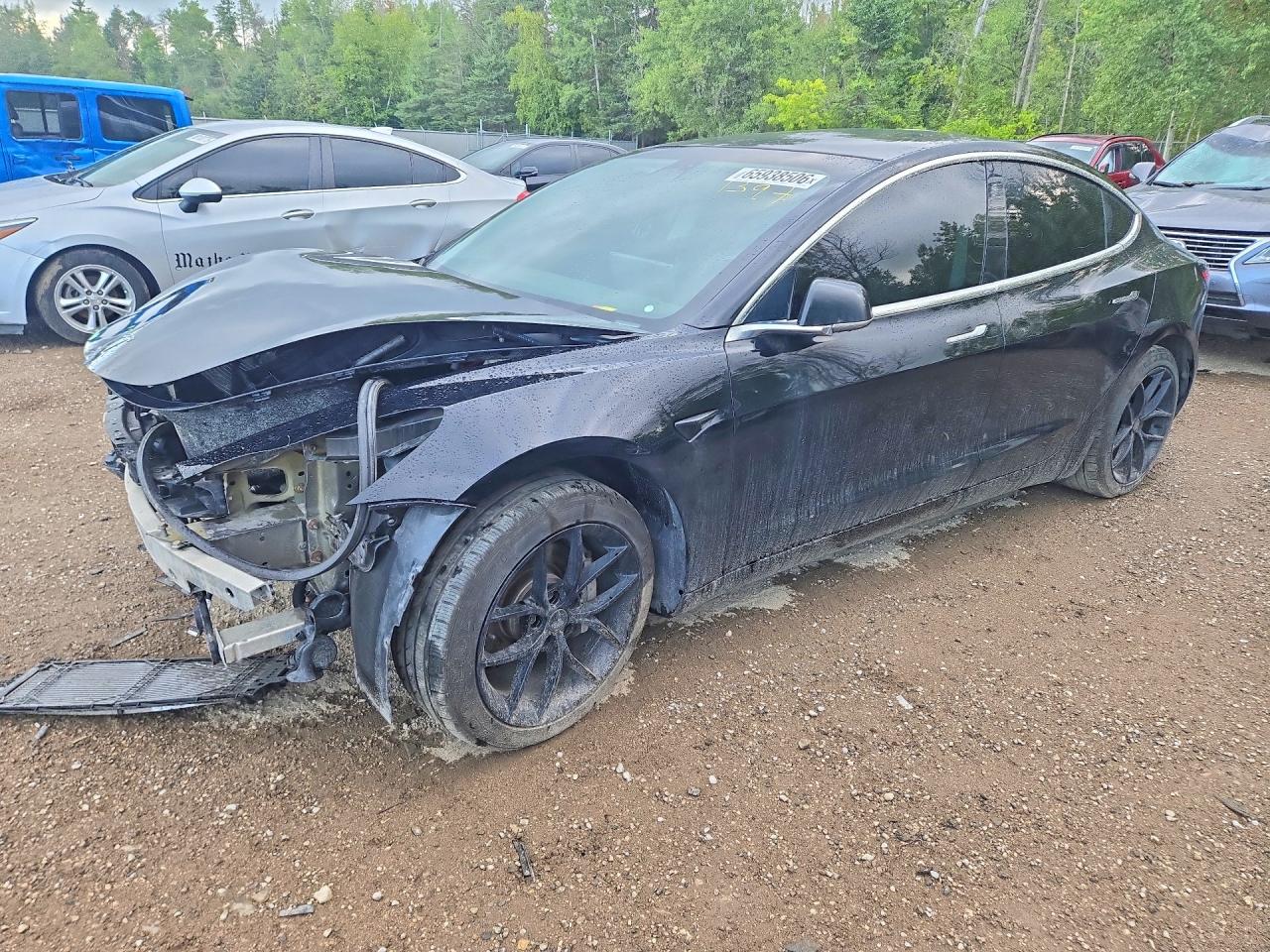 2019 TESLA MODEL 3