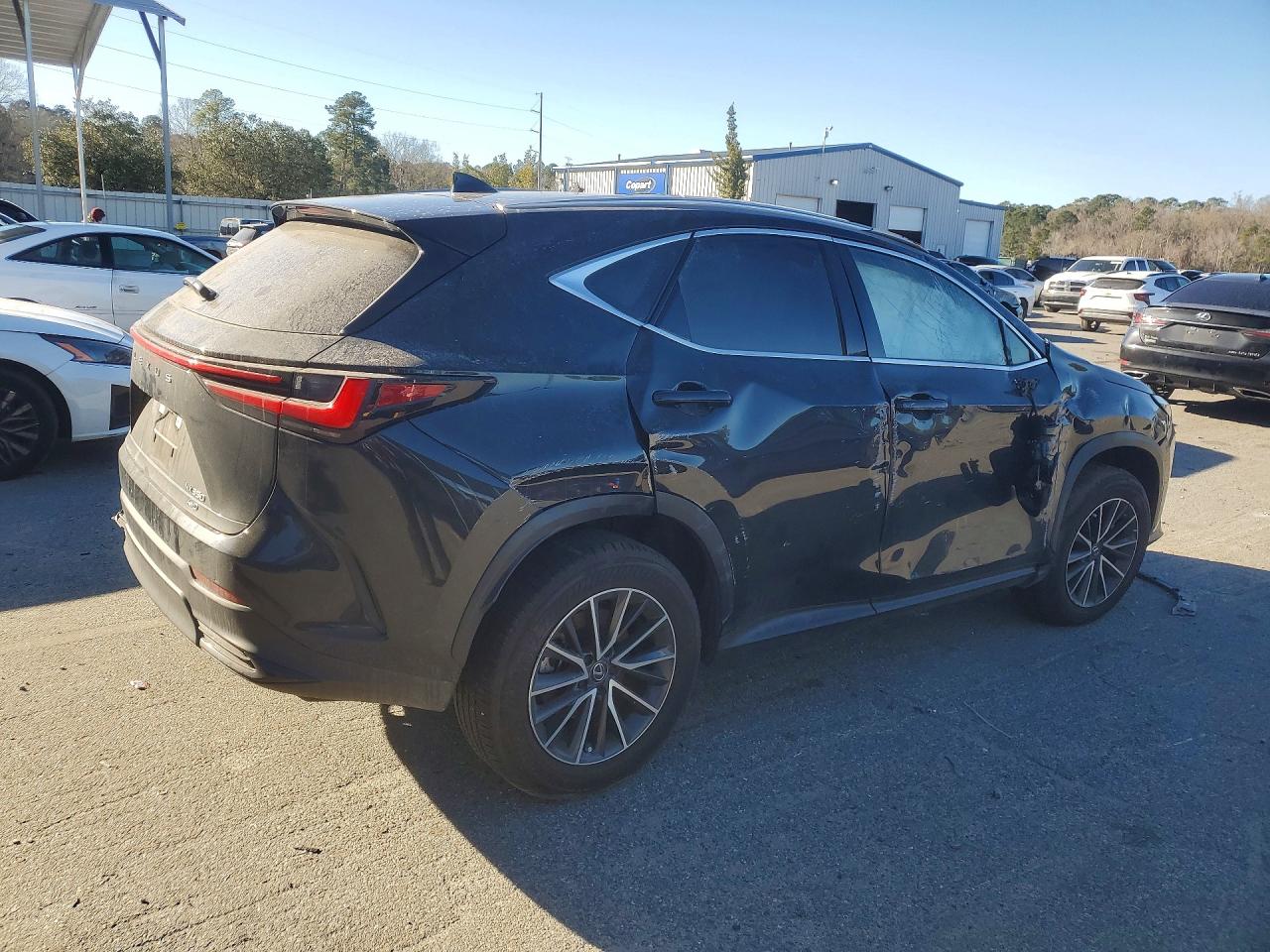 2024 LEXUS NX 350 PREMIUM — снимка 3