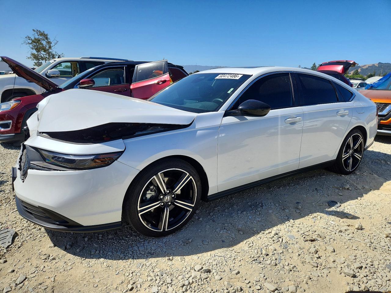 2025 HONDA ACCORD HYBRID SPORT