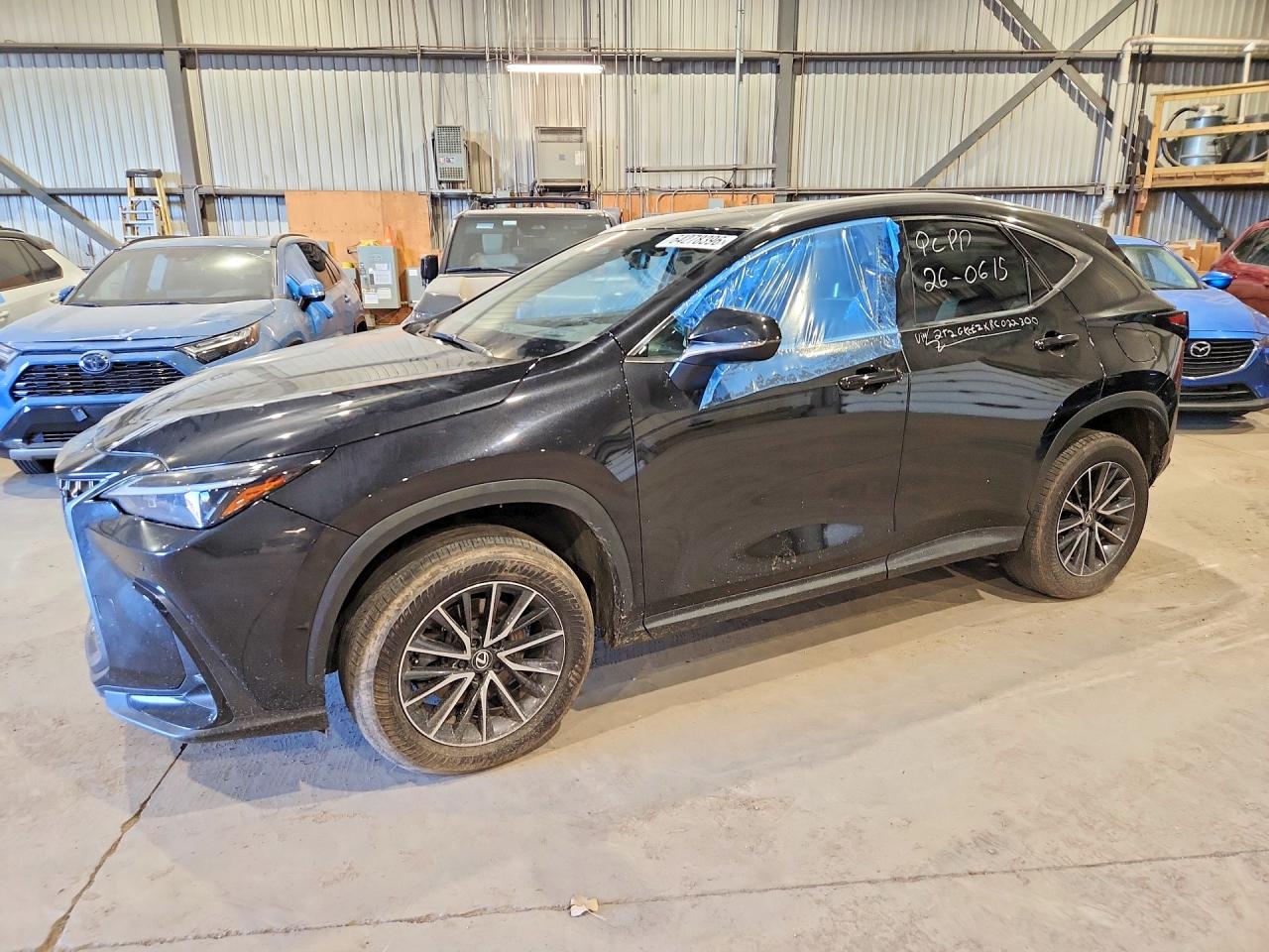 2024 LEXUS NX 300H AWD