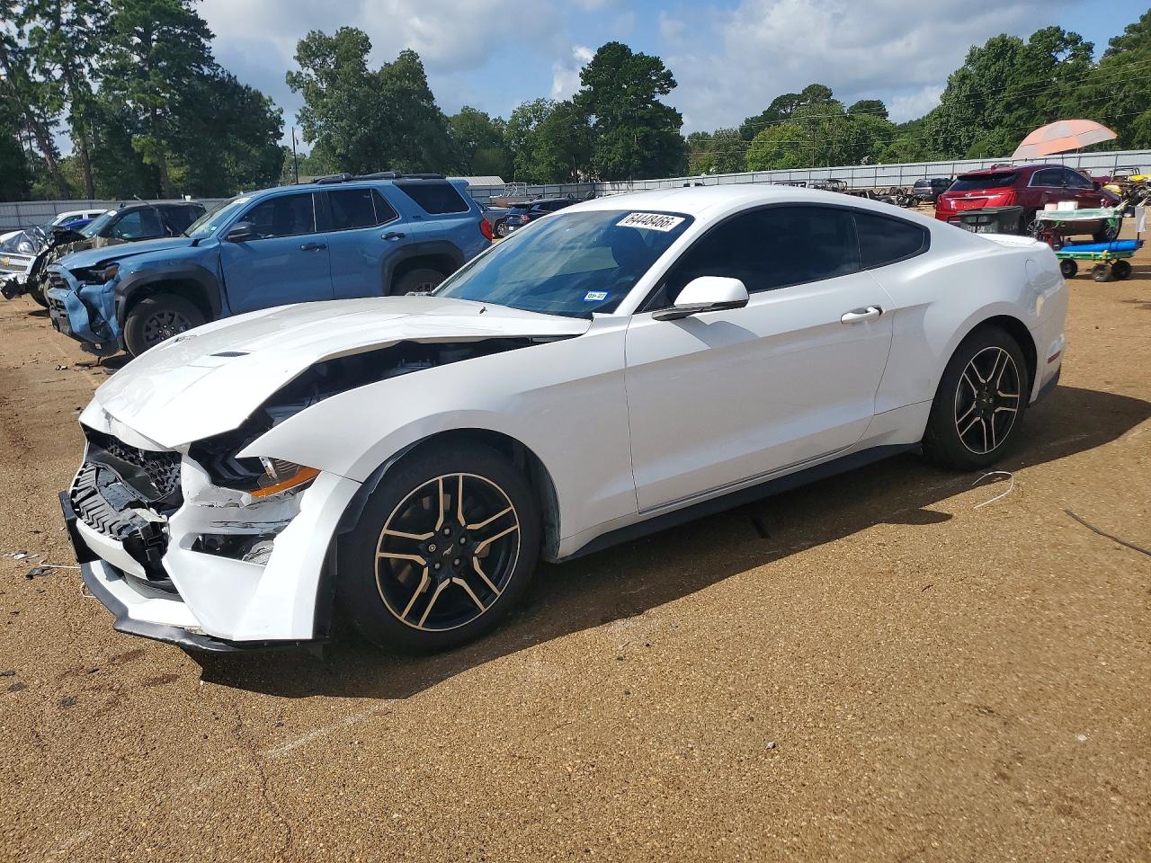 2019 FORD MUSTANG