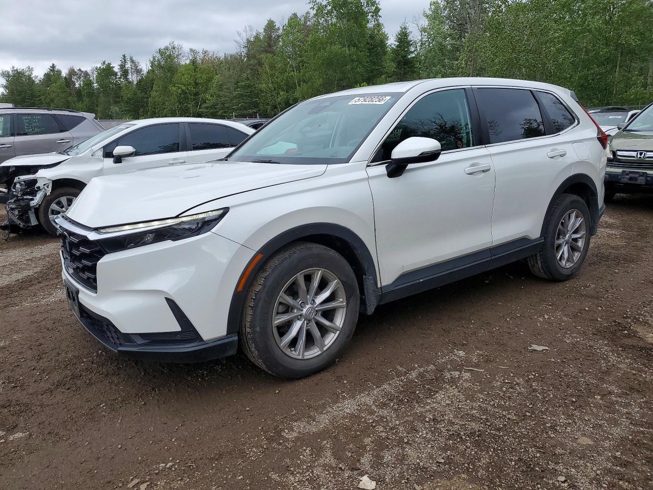 2023 HONDA CR-V EXL