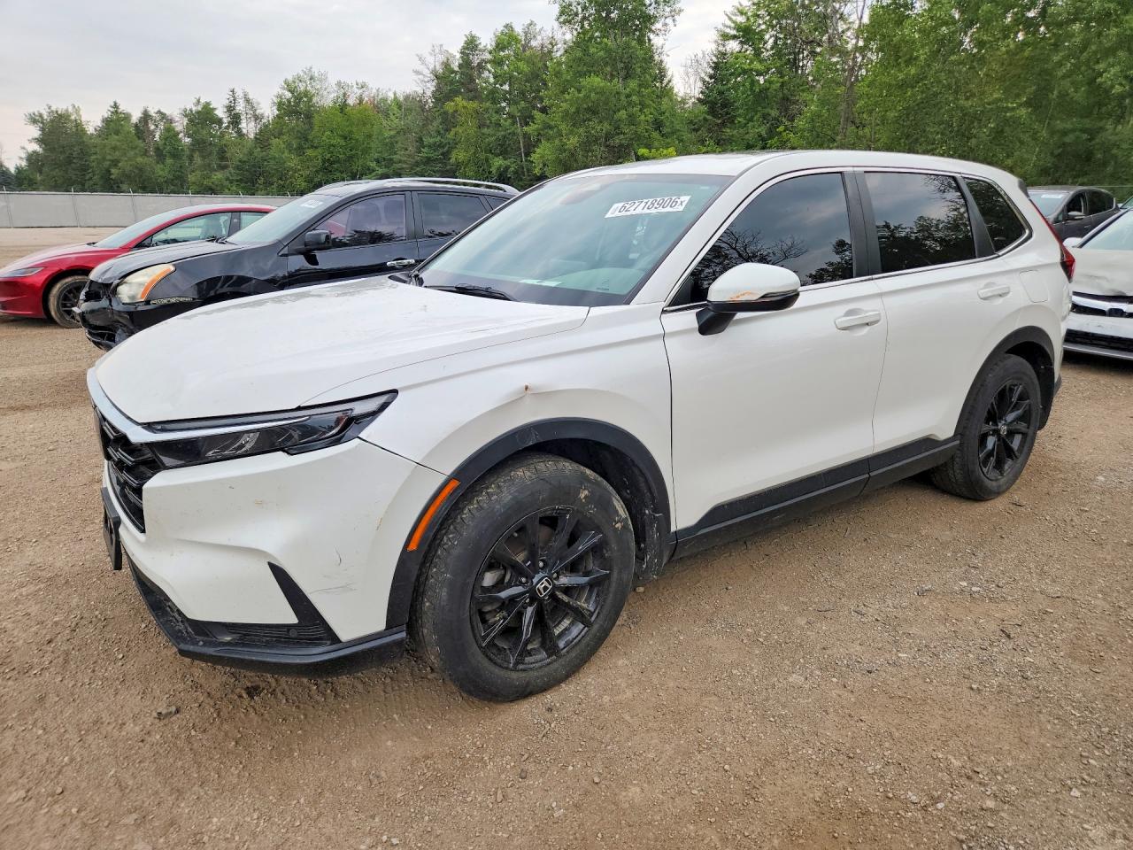 2023 HONDA CR-V EXL