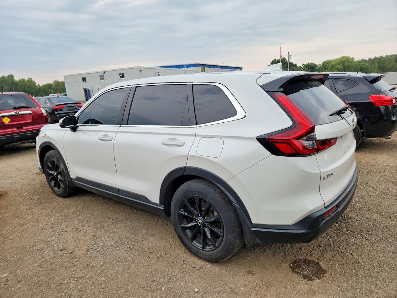 2023 HONDA CR-V EXL — снимка 2