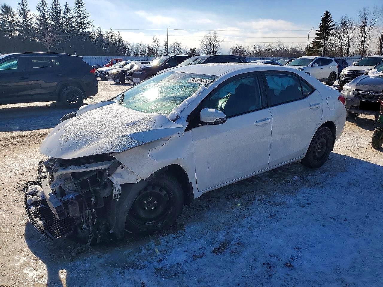 2019 TOYOTA COROLLA L