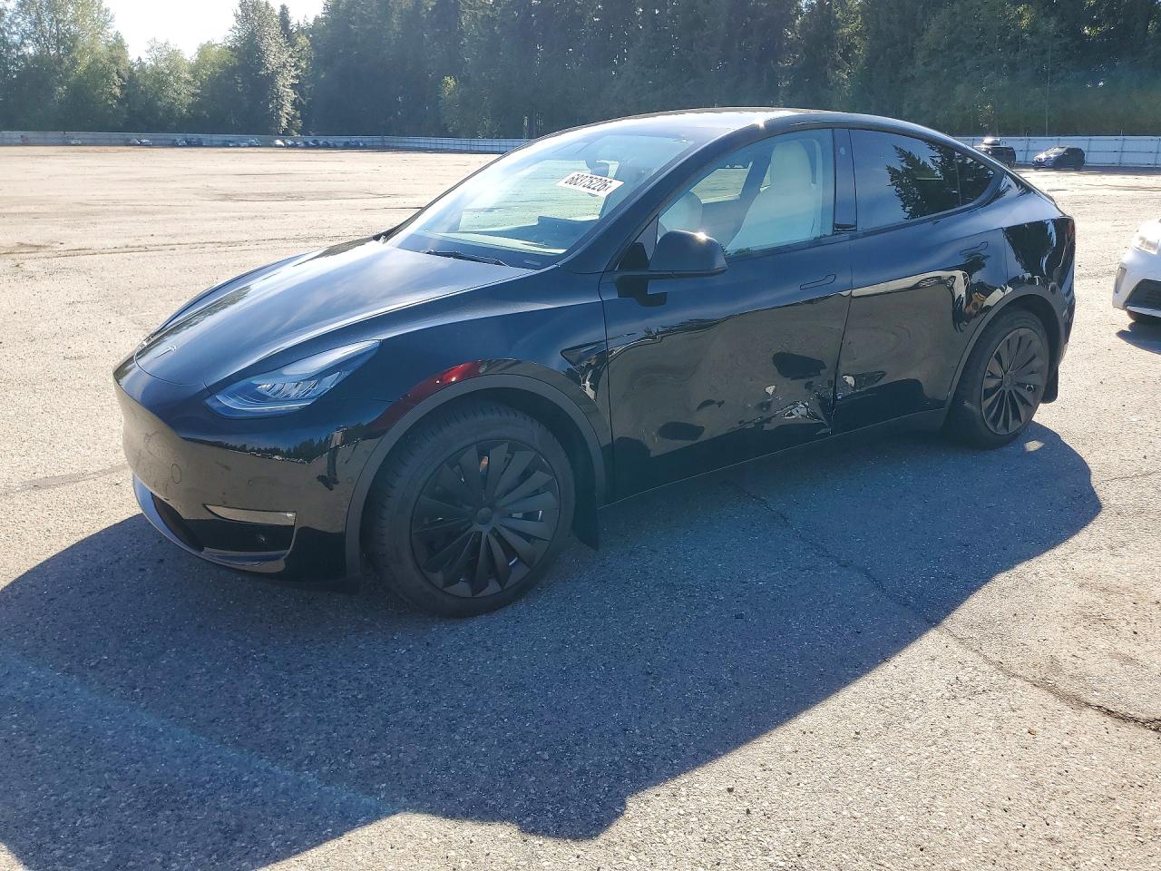 2021 TESLA MODEL Y