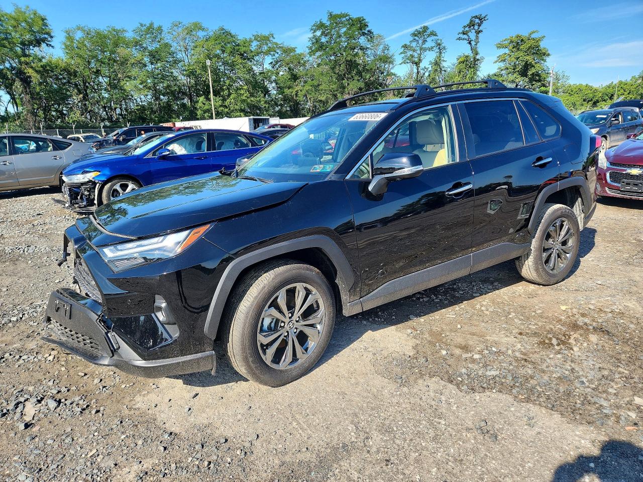 2025 TOYOTA RAV4 LIMITED