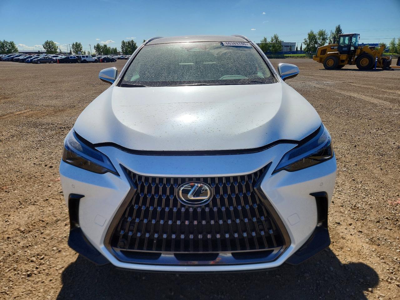 2025 LEXUS NX 350H PREMIUM — снимка 5