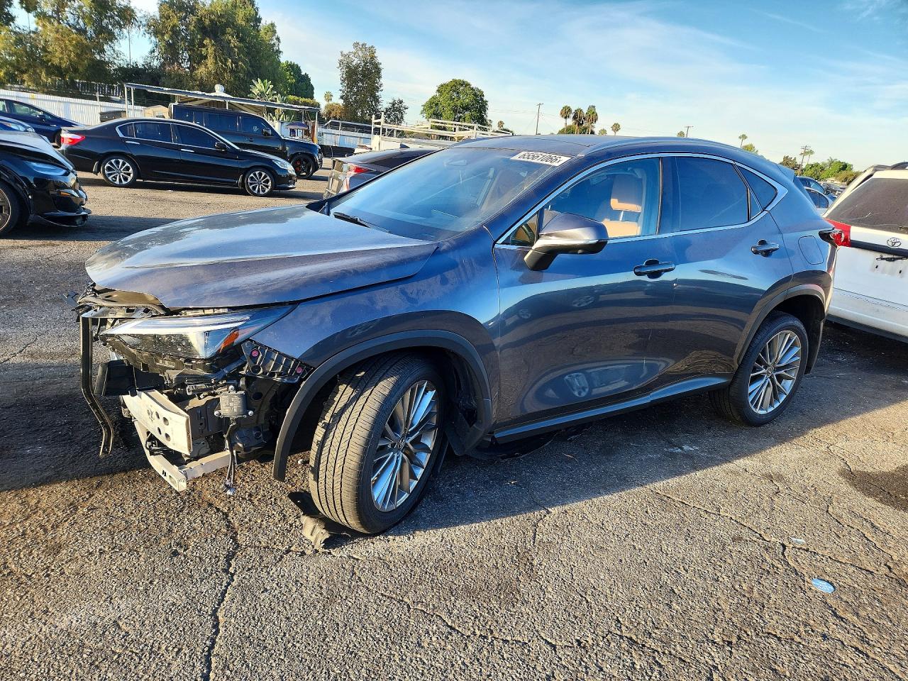 2025 LEXUS NX 350H LUXURY
