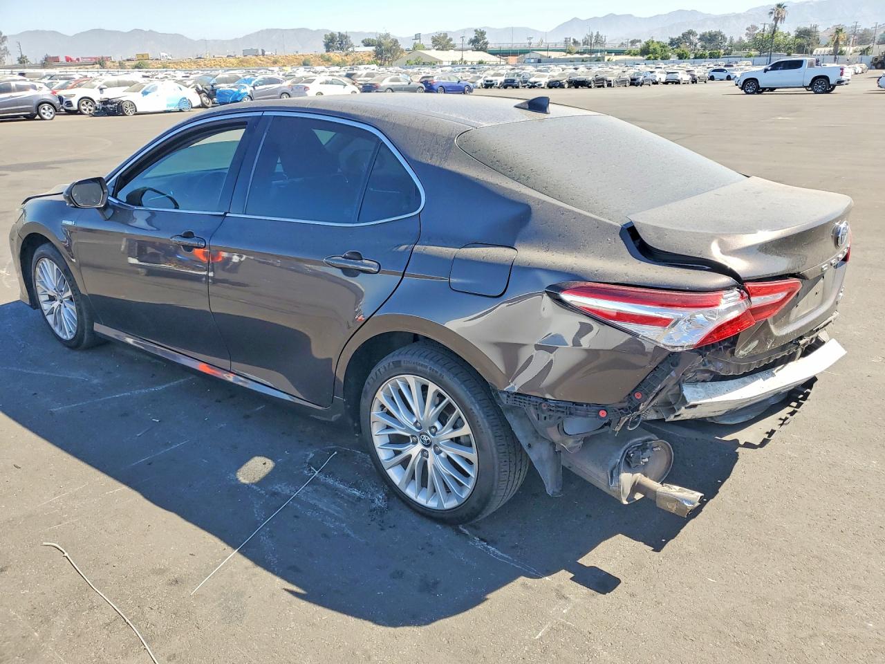 2020 TOYOTA CAMRY XLE — снимка 2