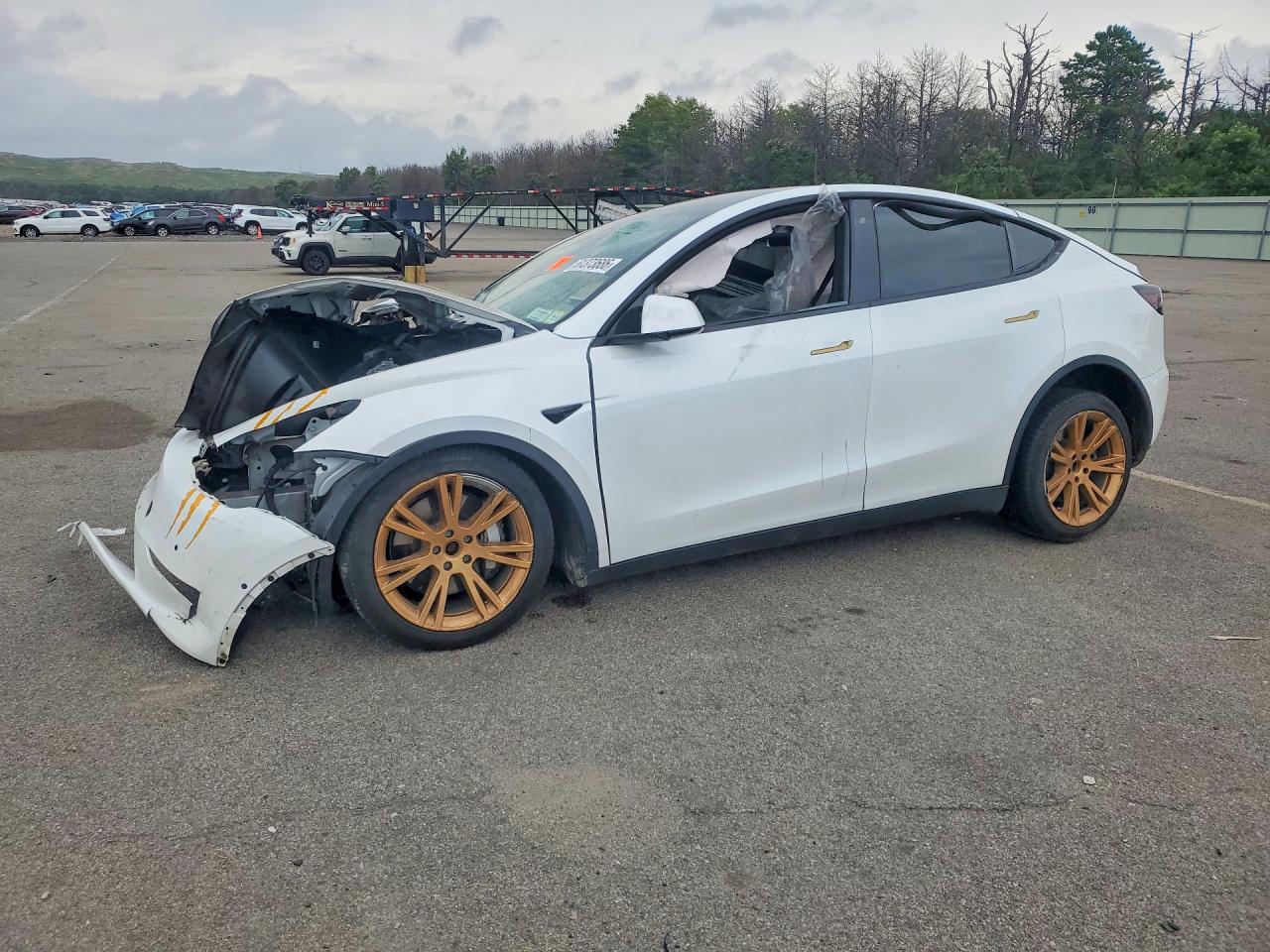 2020 TESLA MODEL Y