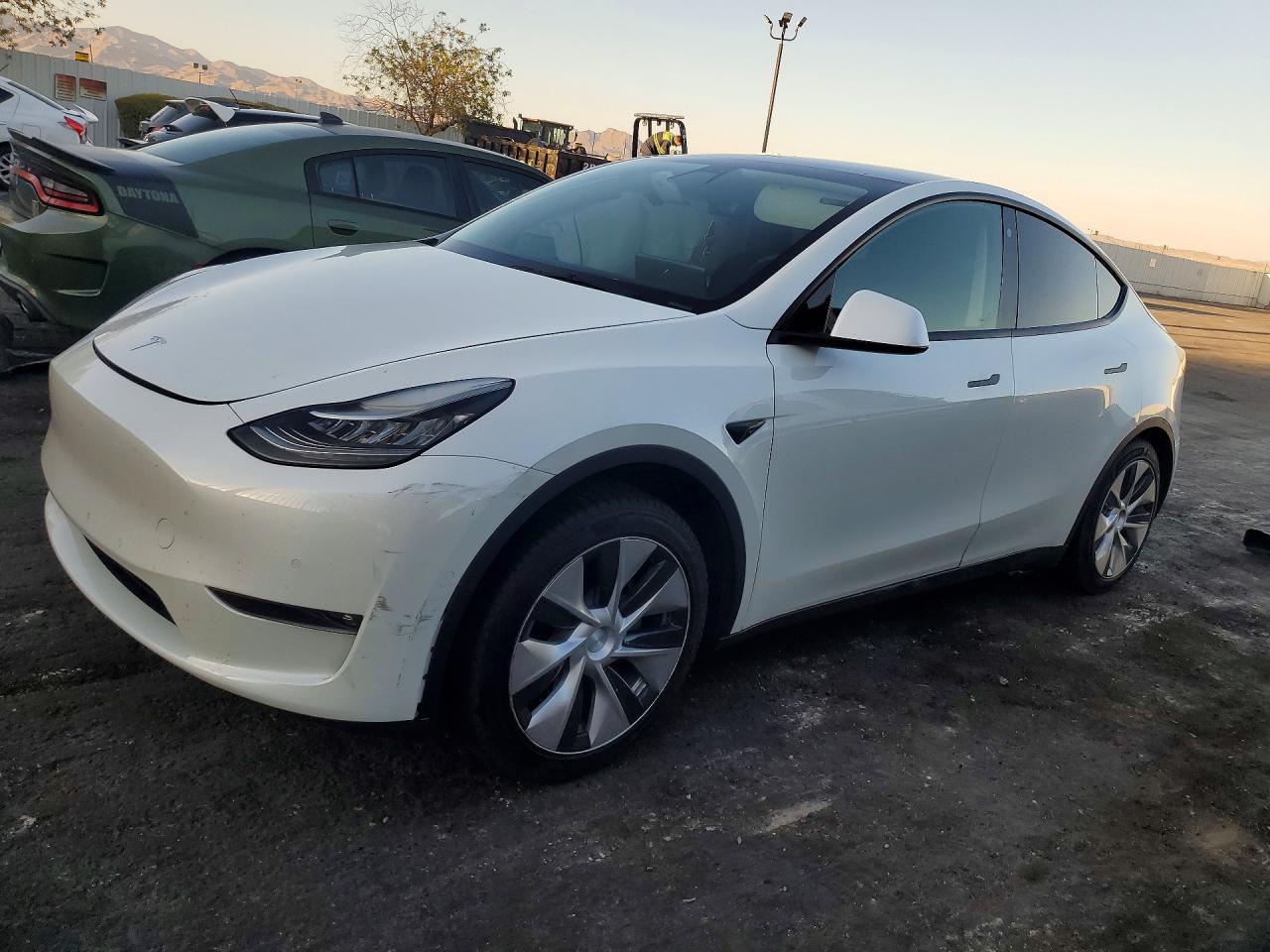 2021 TESLA MODEL Y