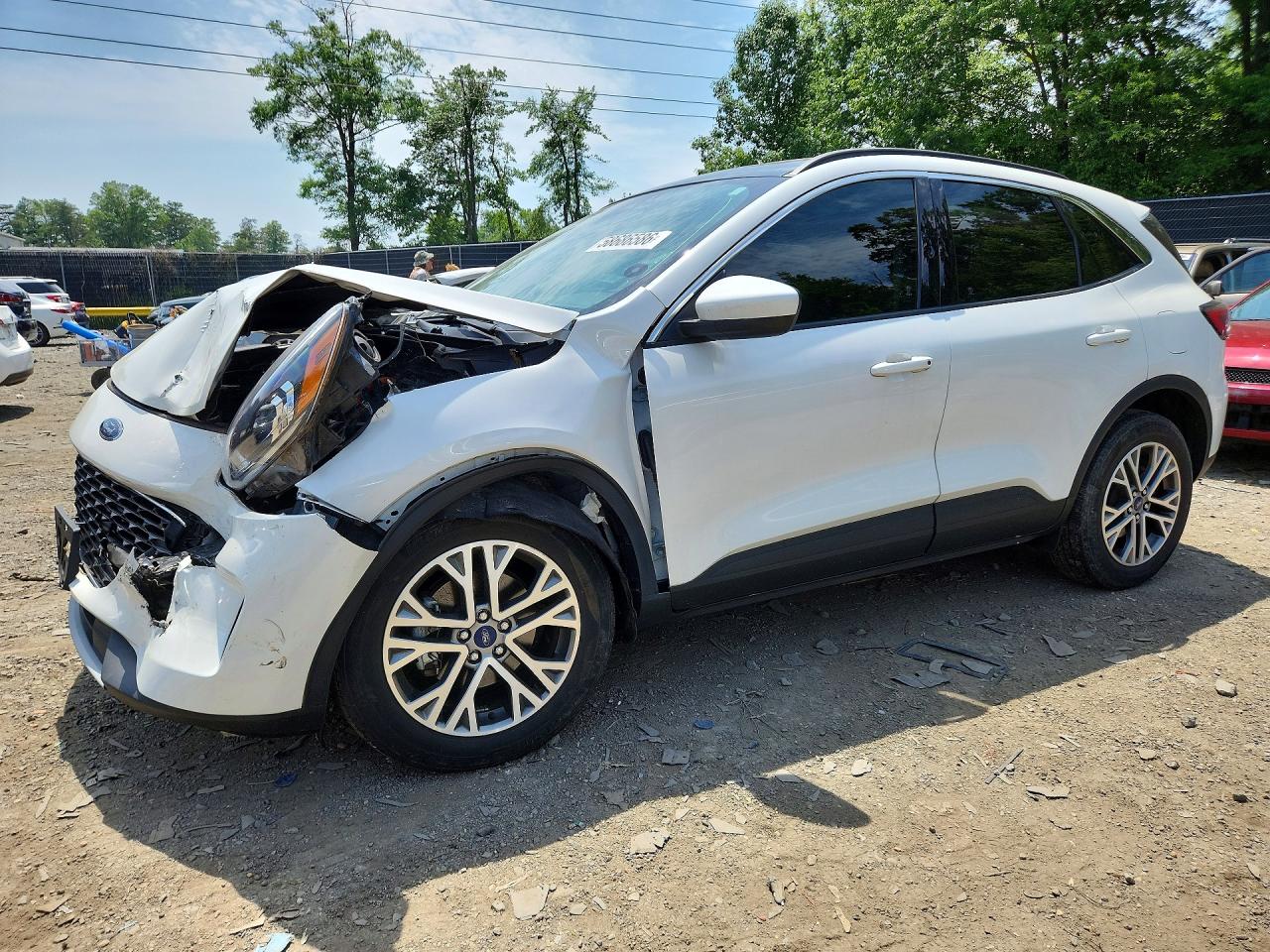 2022 FORD ESCAPE SEL