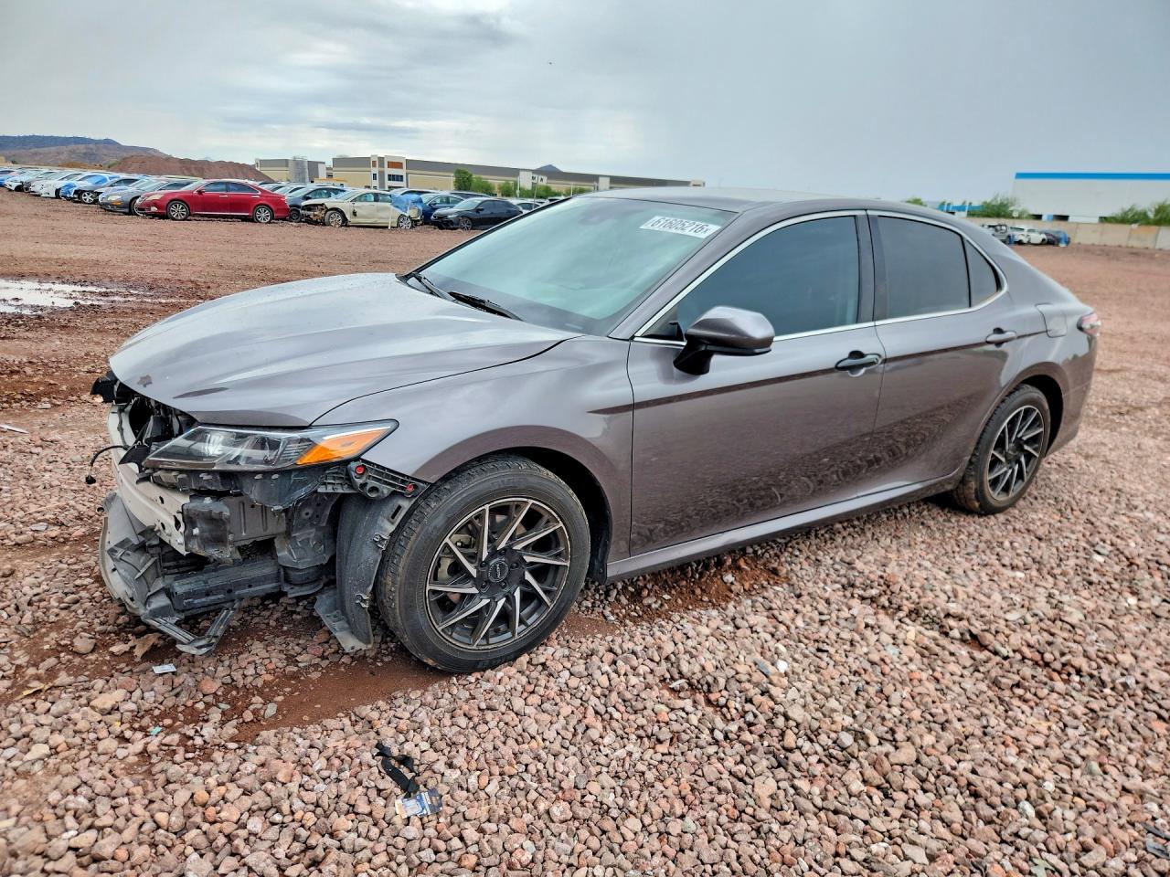 2024 TOYOTA CAMRY LE