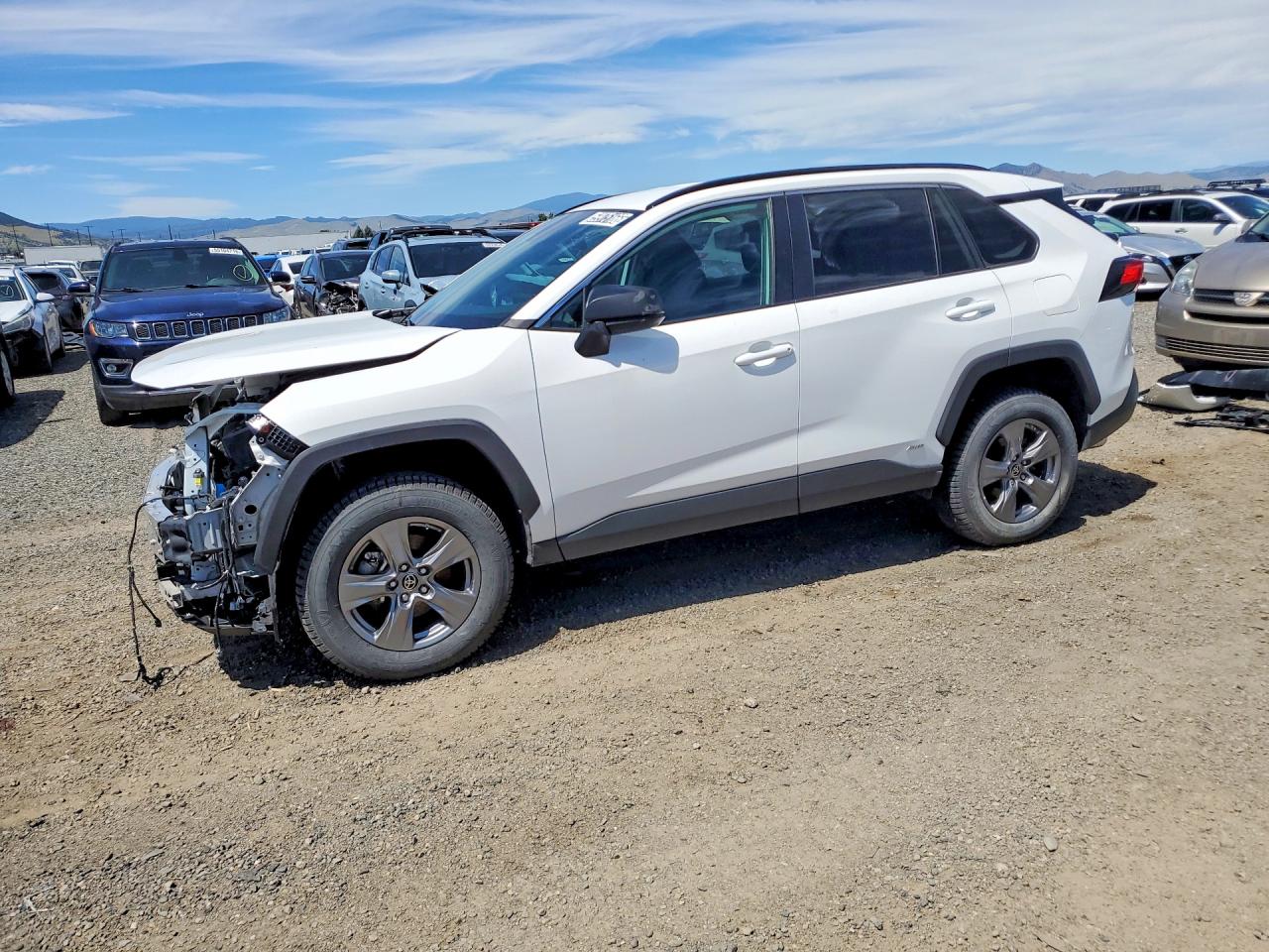 2024 TOYOTA RAV4 LE