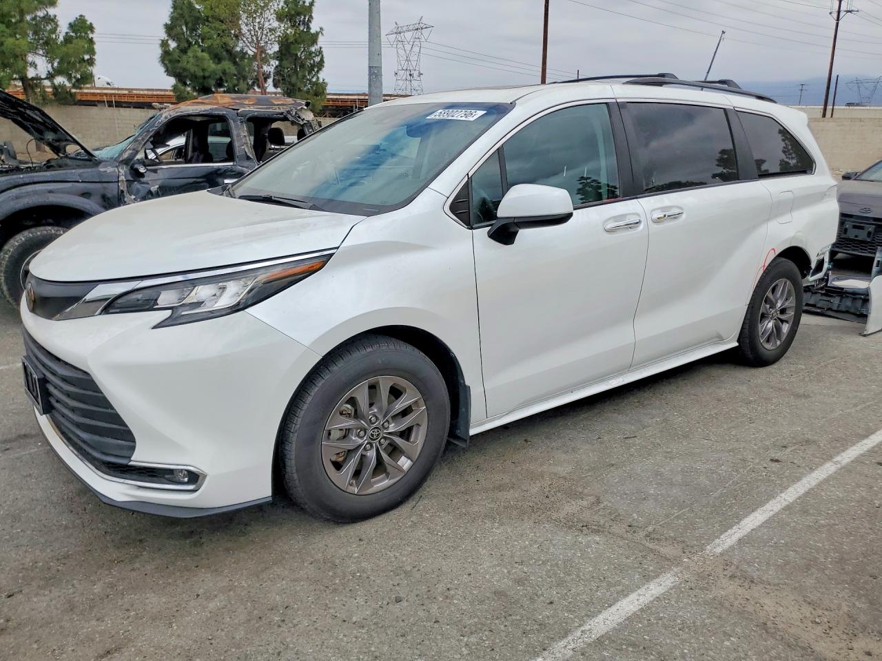 2023 TOYOTA SIENNA XLE