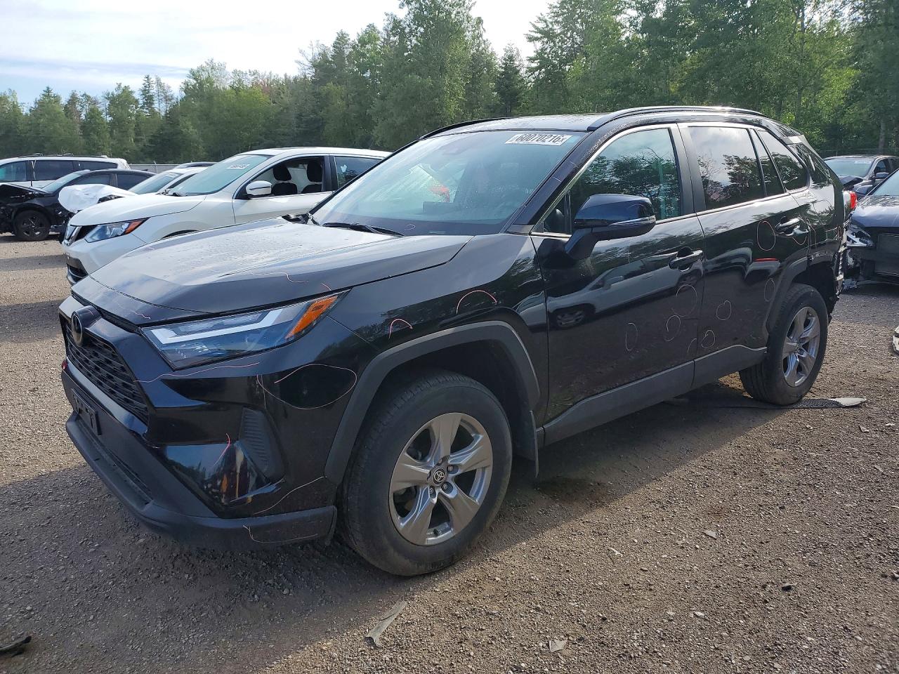 2024 TOYOTA RAV4 XLE