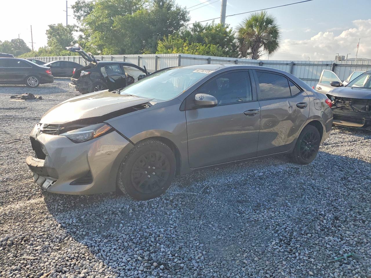 2019 TOYOTA COROLLA LE