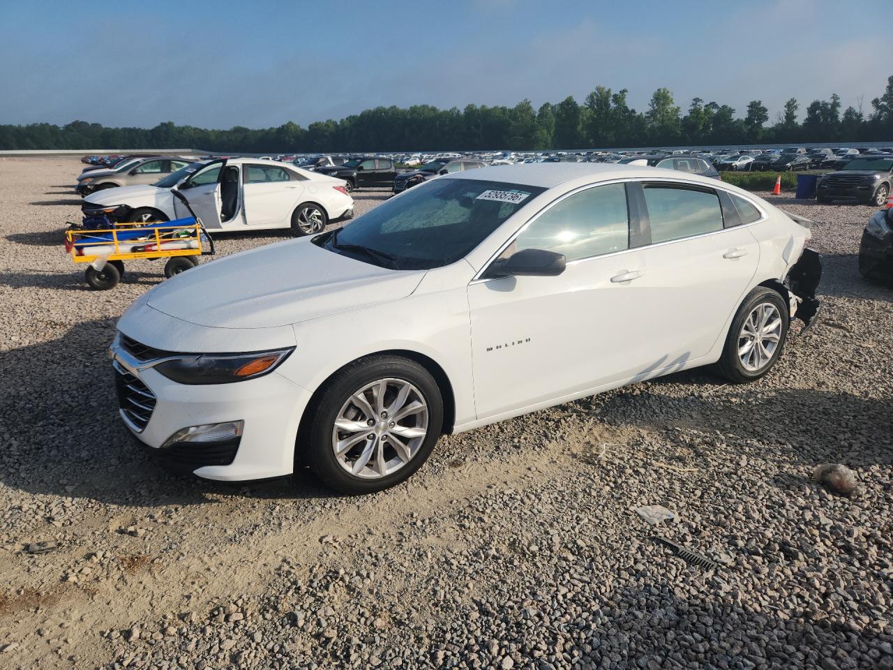 2023 CHEVROLET MALIBU LT