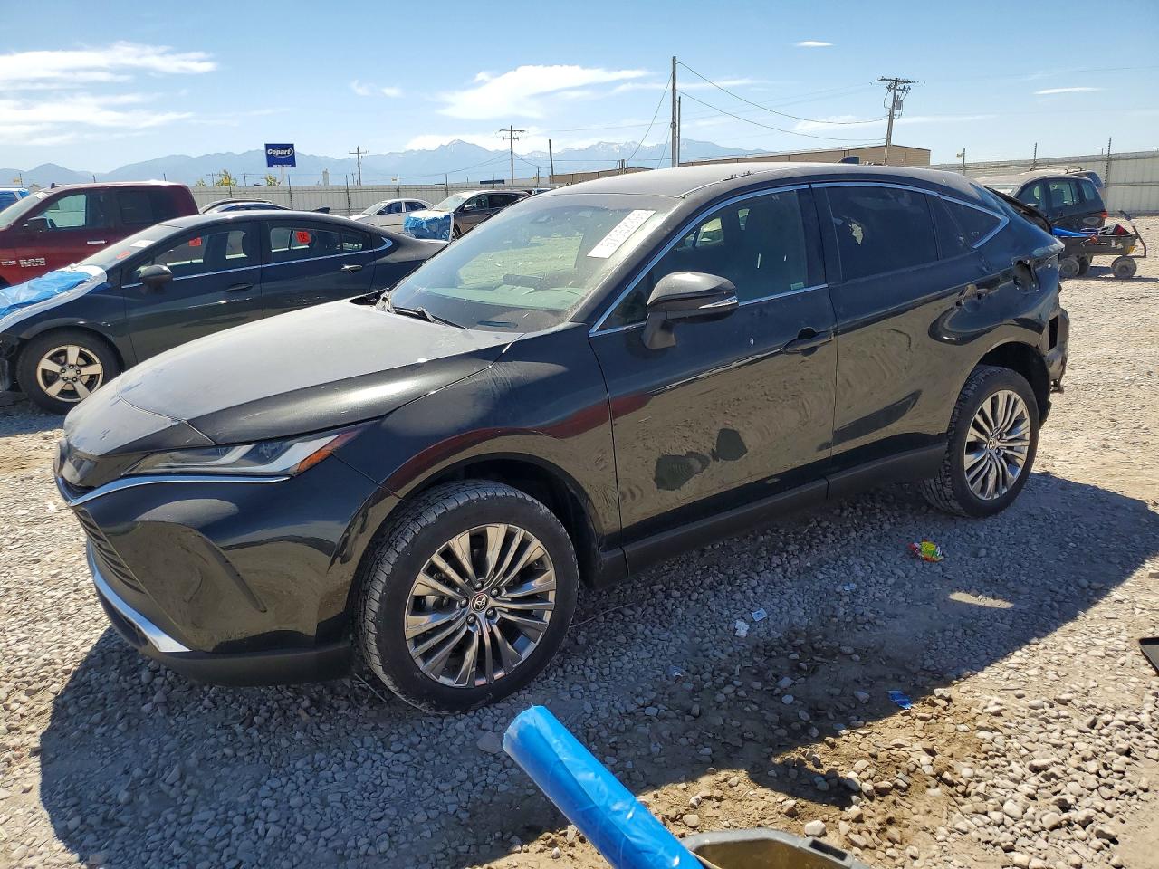 2022 TOYOTA VENZA XLE