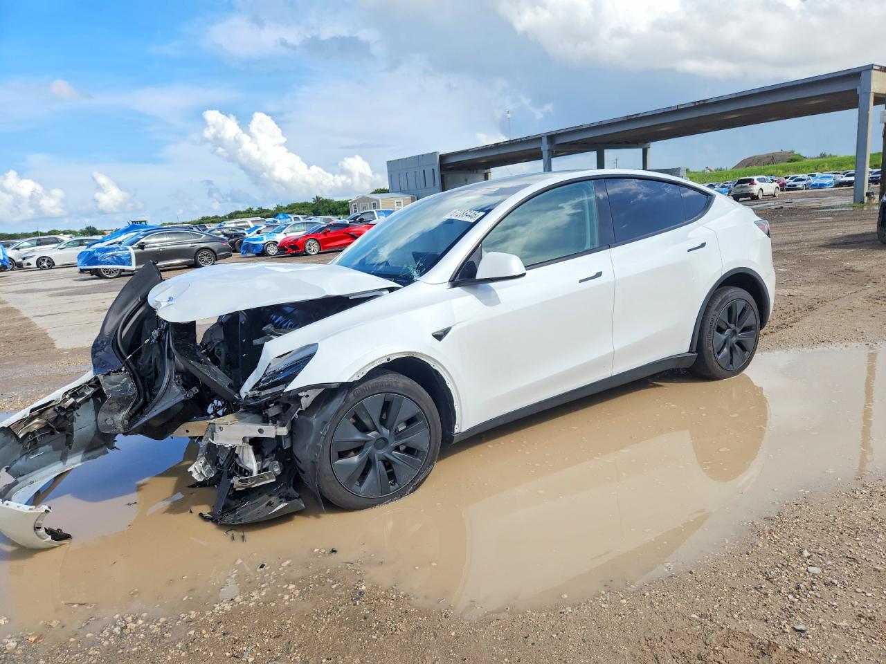 2024 TESLA MODEL Y