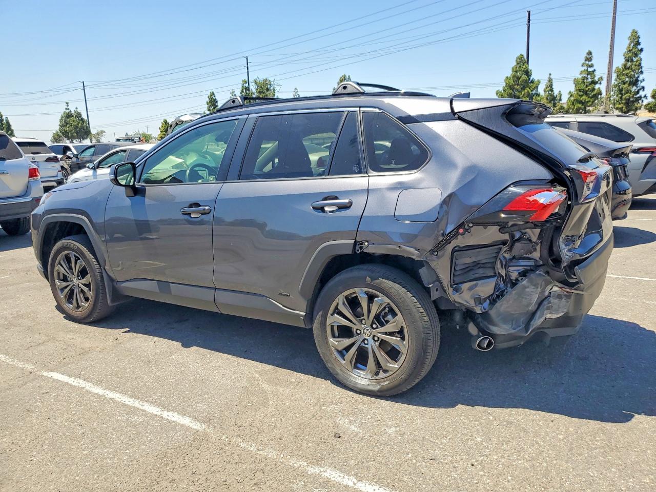 2024 TOYOTA RAV4 XLE PREMIUM — снимка 2