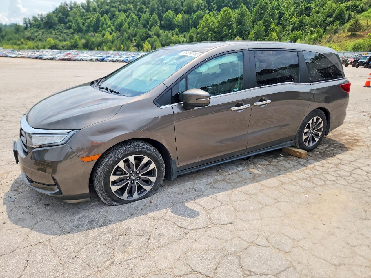 2022 HONDA ODYSSEY EXL