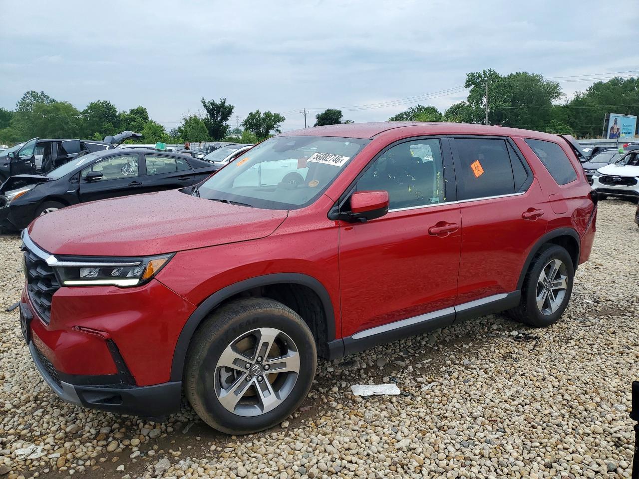 2024 HONDA PILOT EXL