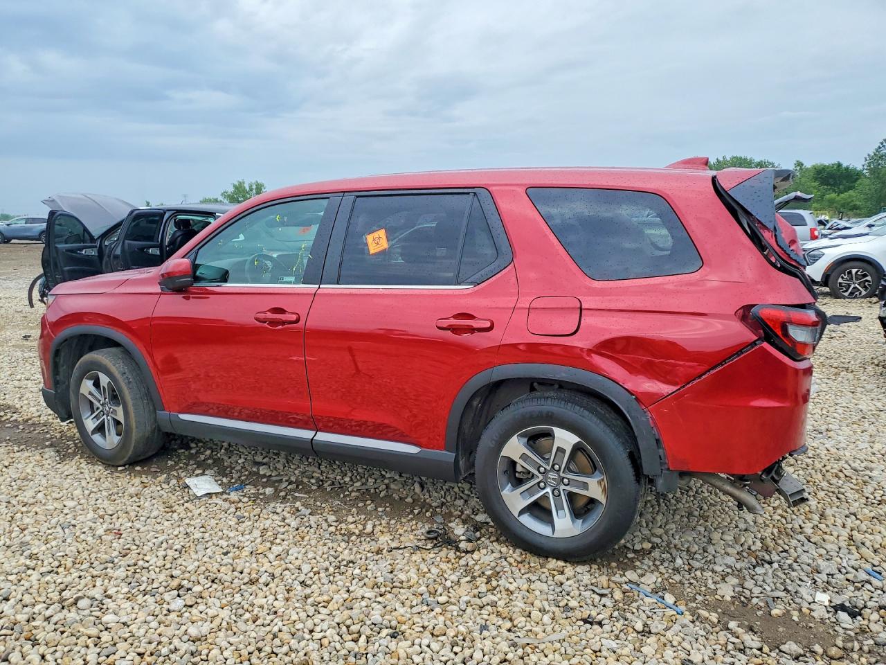 2024 HONDA PILOT EXL — снимка 2