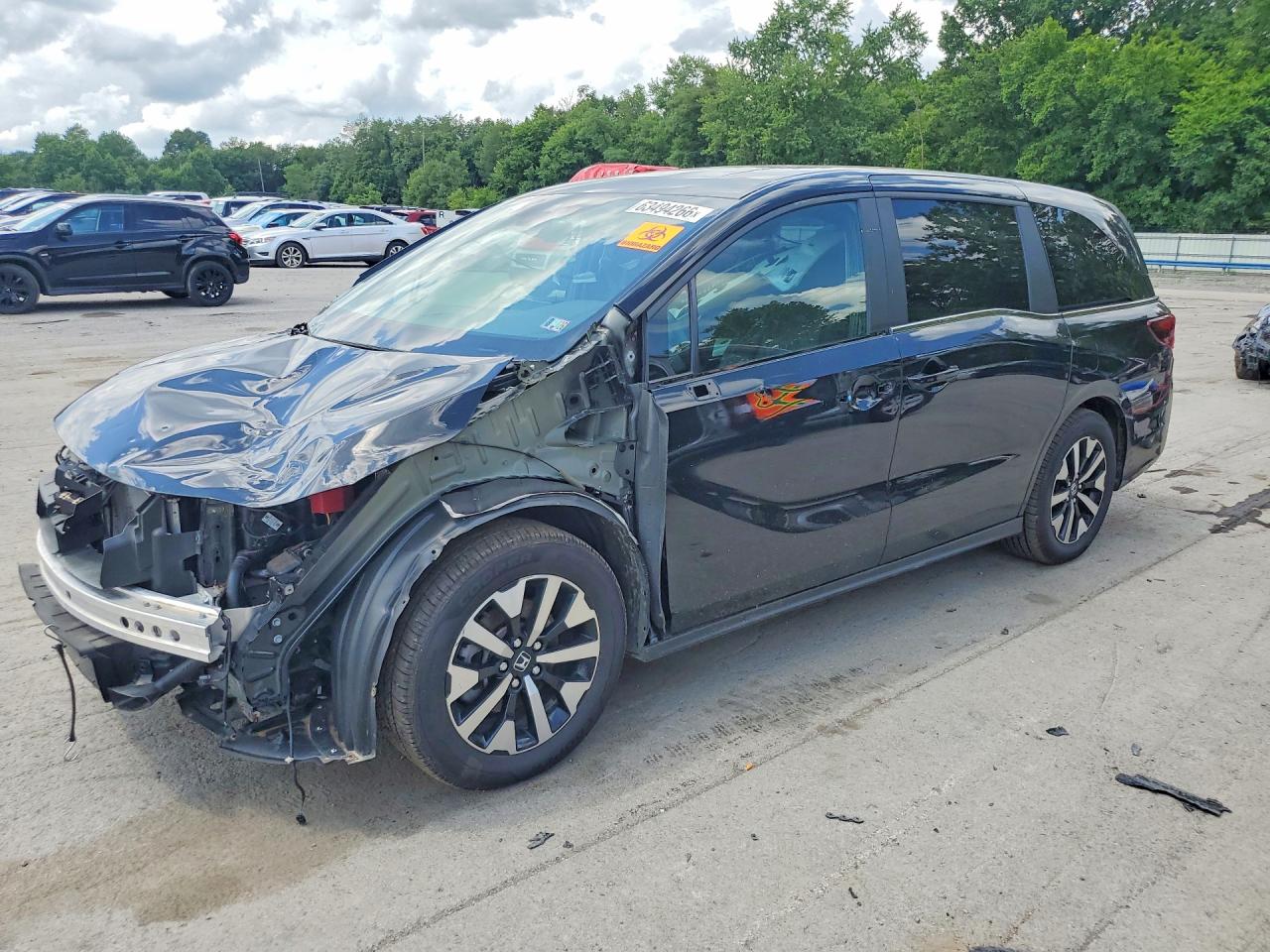 2025 HONDA ODYSSEY EXL