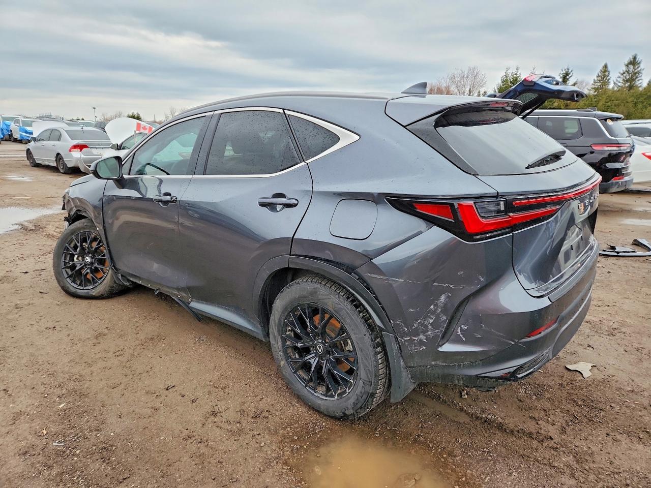 2025 LEXUS NX 350H PREMIUM — снимка 2