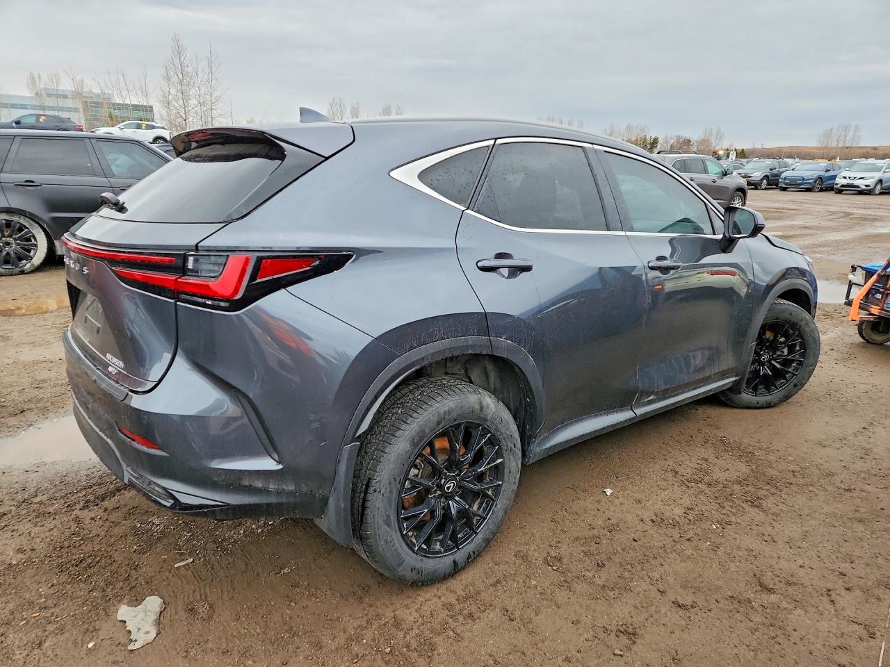 2025 LEXUS NX 350H PREMIUM — снимка 3