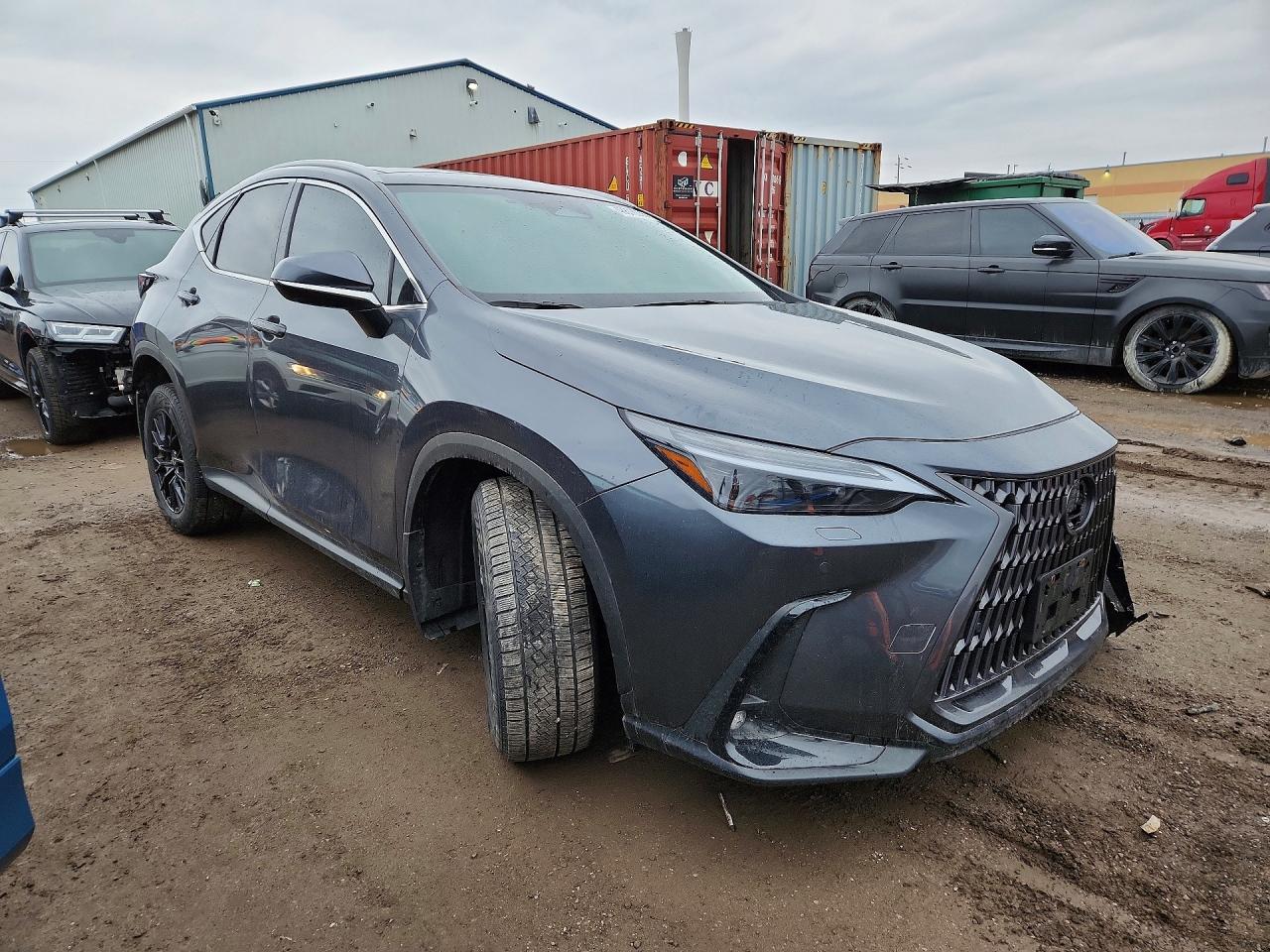 2025 LEXUS NX 350H PREMIUM — снимка 4