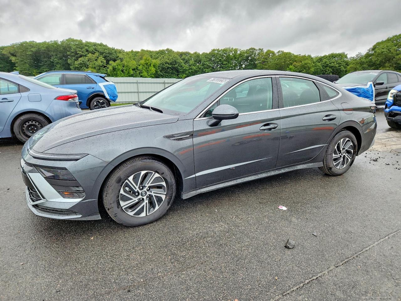 2026 HYUNDAI SONATA HYBRID BLUE