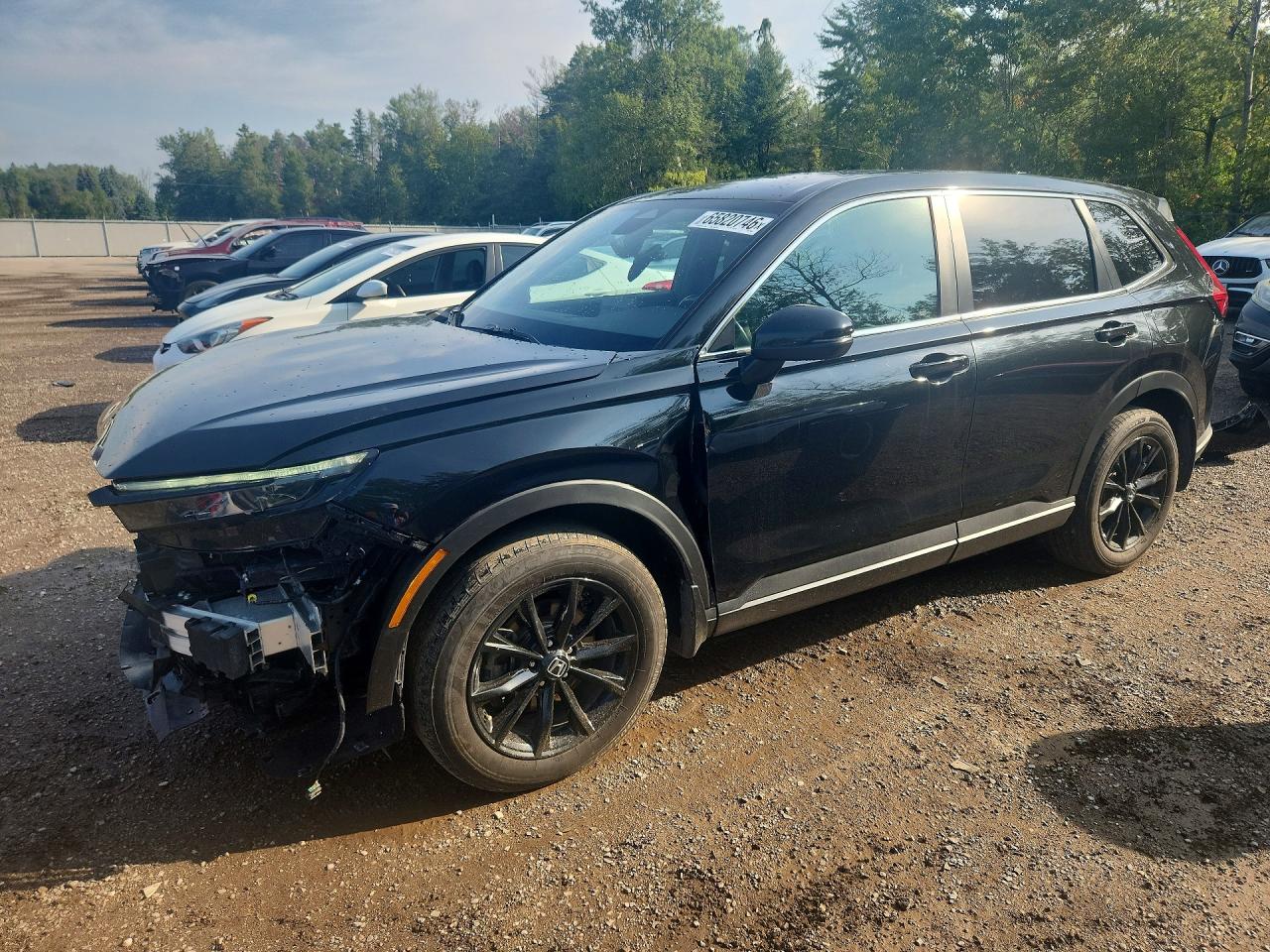 2025 HONDA CR-V EXL