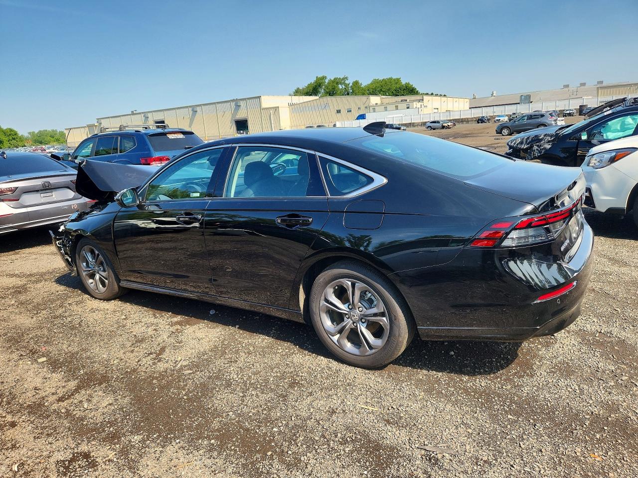 2025 HONDA ACCORD HYBRID EXL — снимка 2