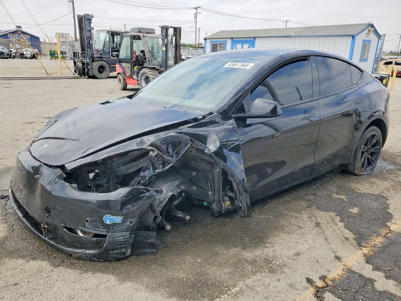 2021 TESLA MODEL Y
