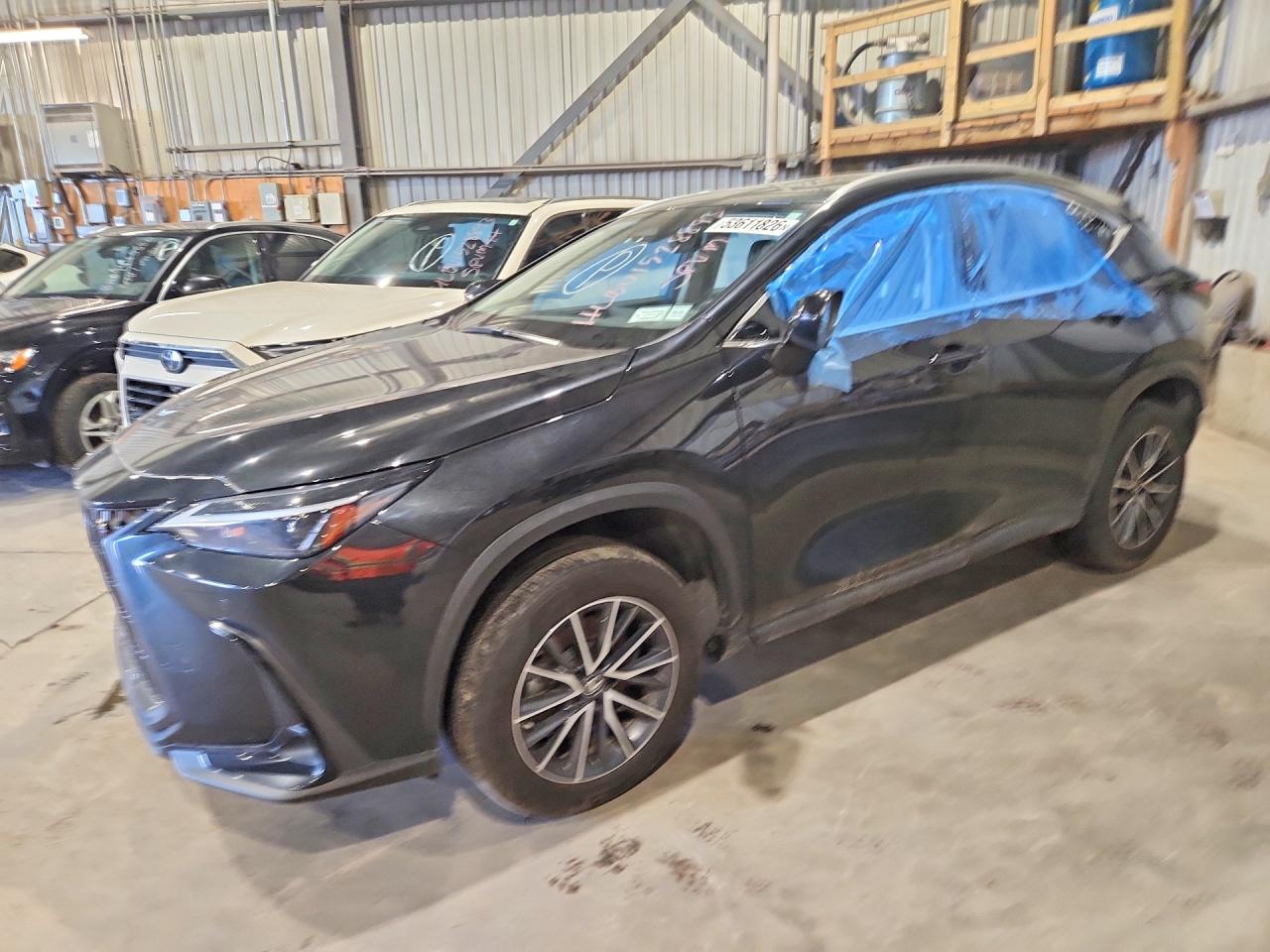 2022 LEXUS NX 350