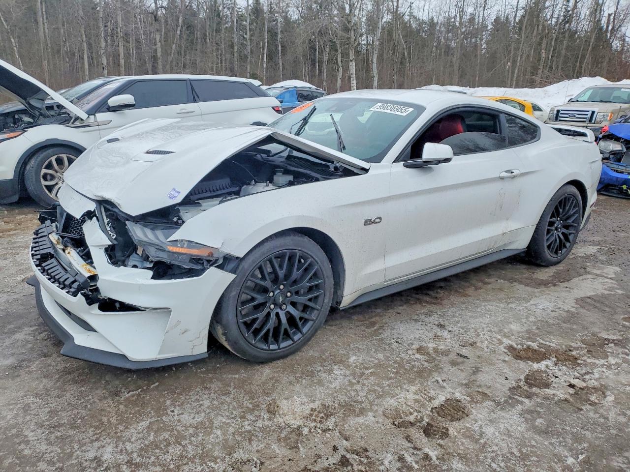 2022 FORD MUSTANG GT