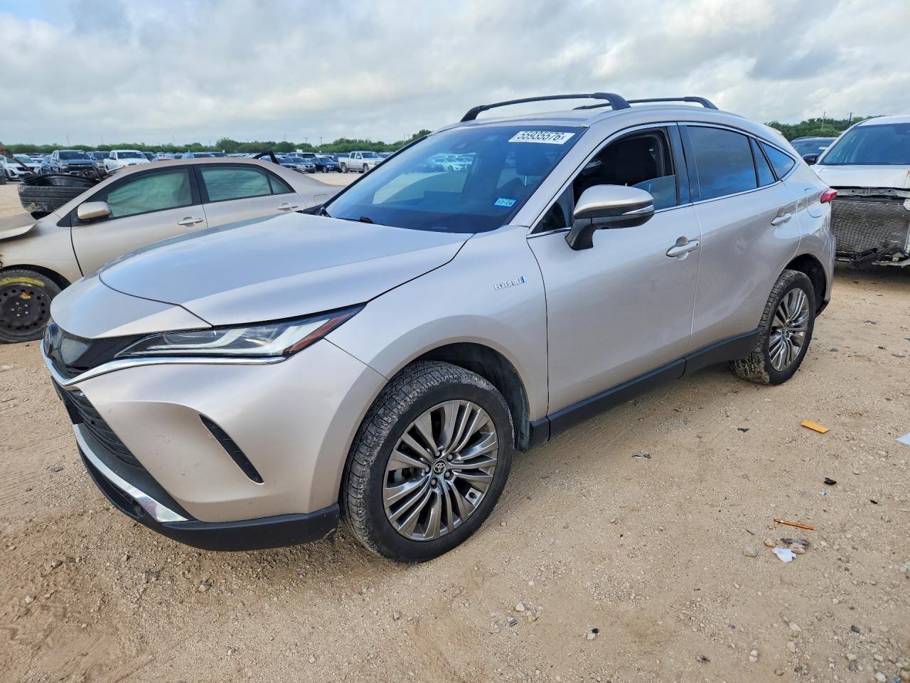 2021 TOYOTA VENZA XLE