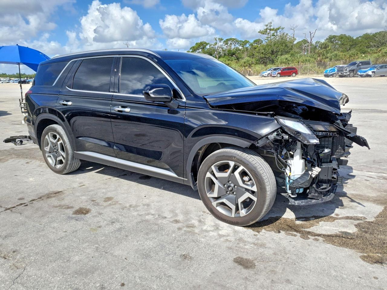 2025 HYUNDAI PALISADE — снимка 4