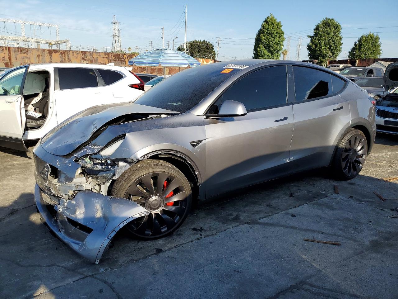 2025 TESLA MODEL Y