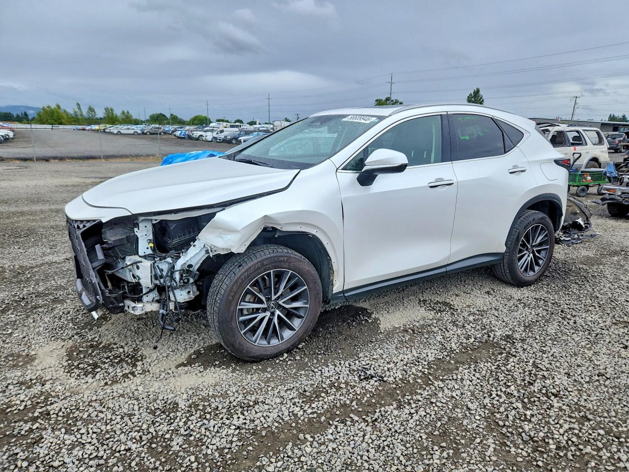 2023 LEXUS NX 350H