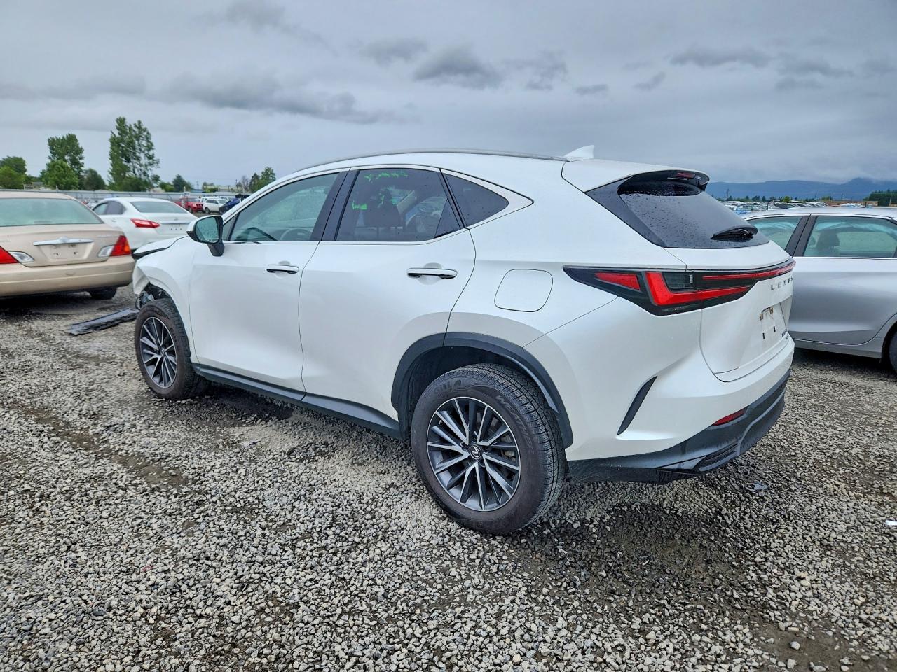 2023 LEXUS NX 350H — снимка 2