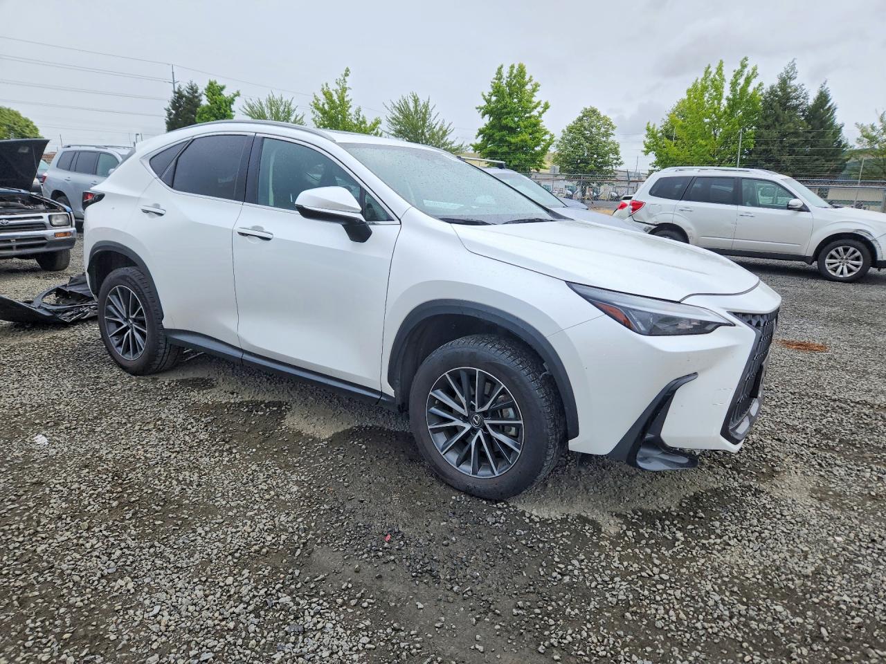 2023 LEXUS NX 350H — снимка 4