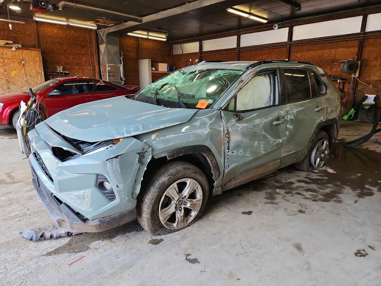 2019 TOYOTA RAV4 XLE