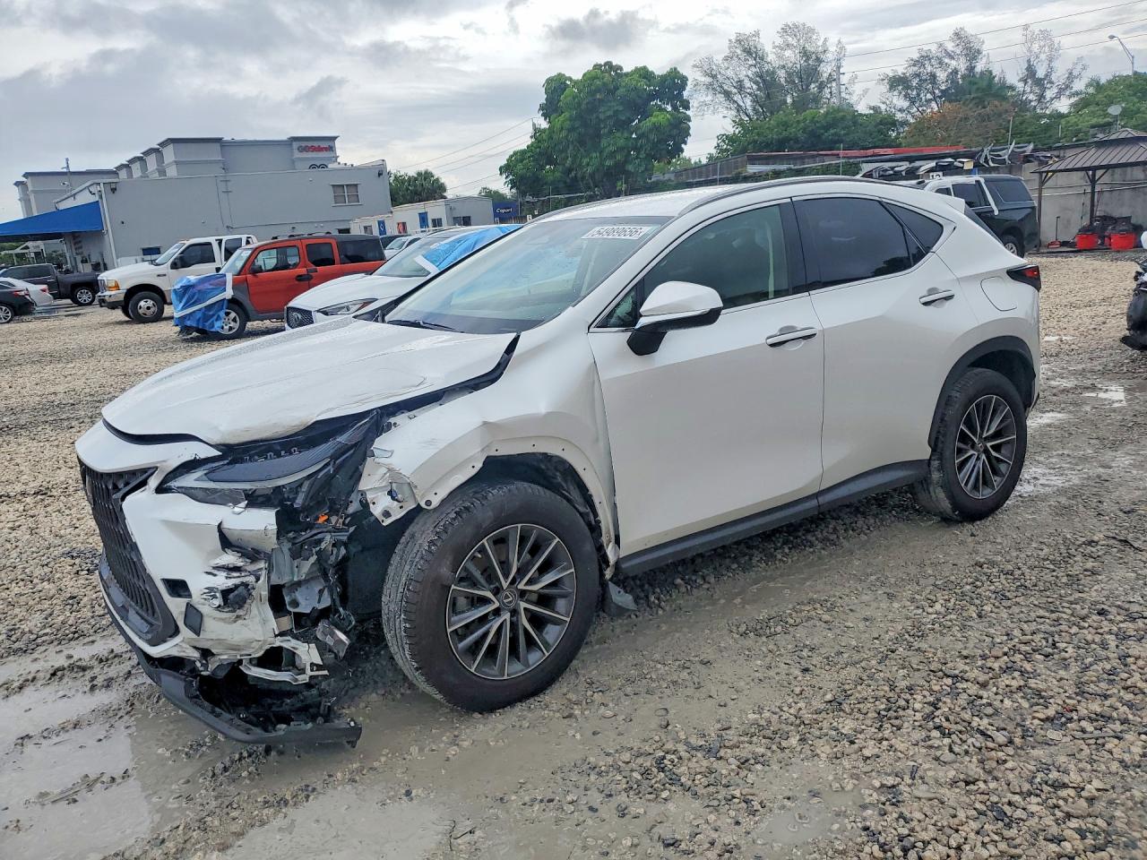 2023 LEXUS NX 250