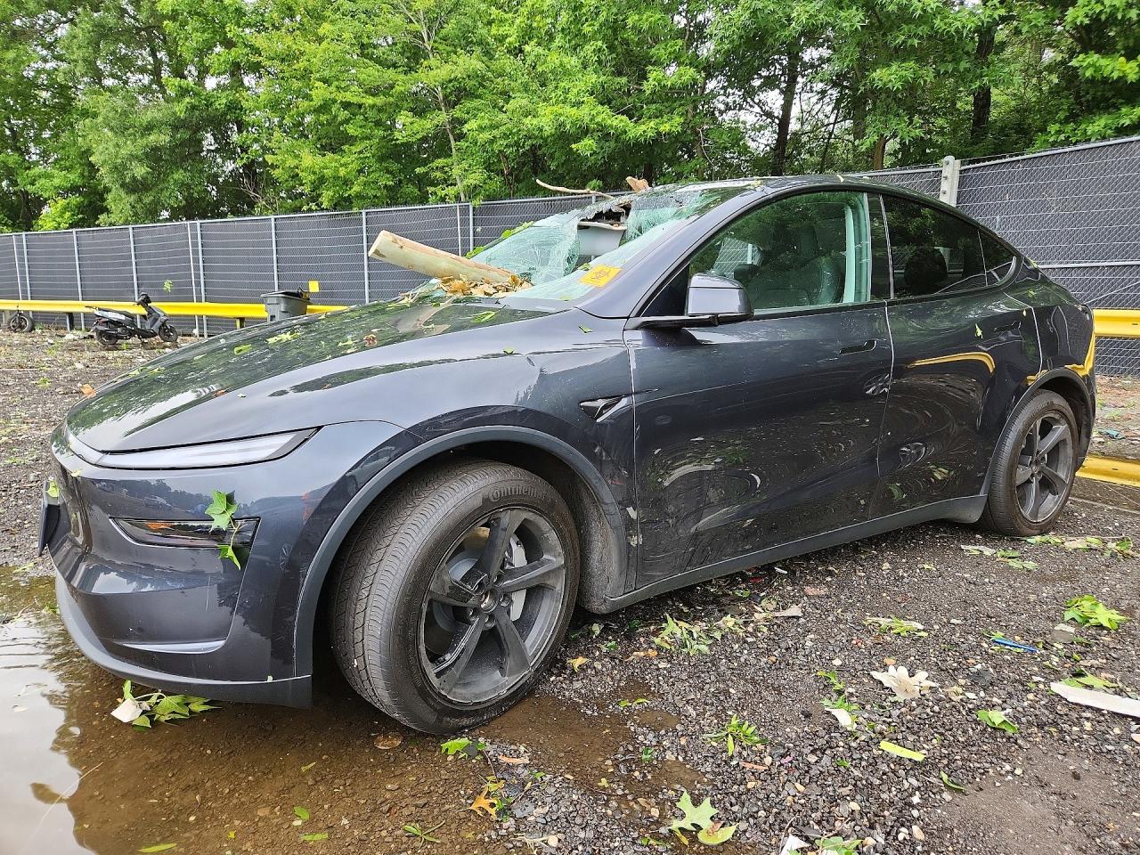 2026 TESLA MODEL Y