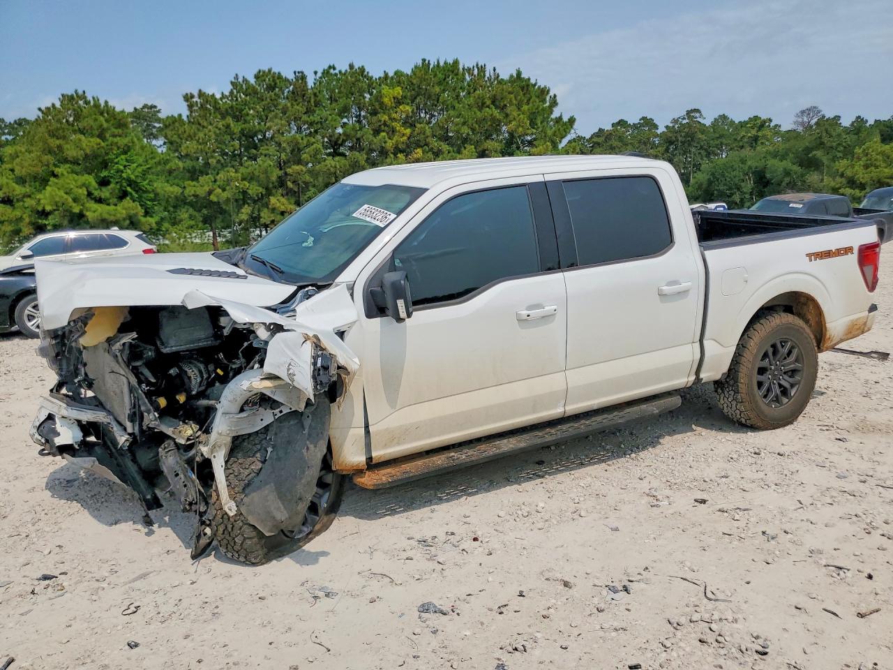 2025 FORD F150 TREMOR