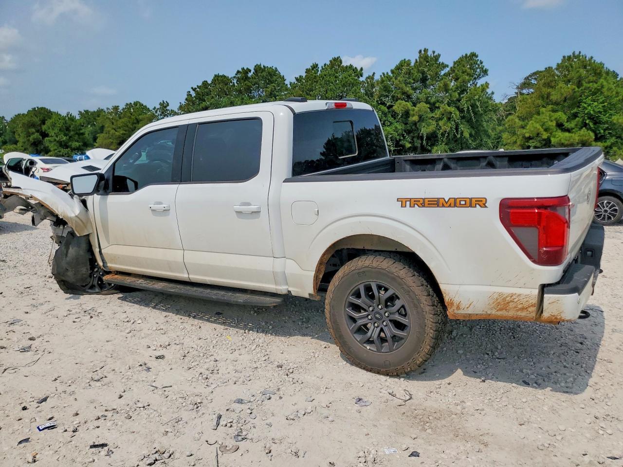 2025 FORD F150 TREMOR — снимка 2